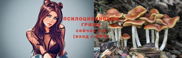 наркотики Пересвет