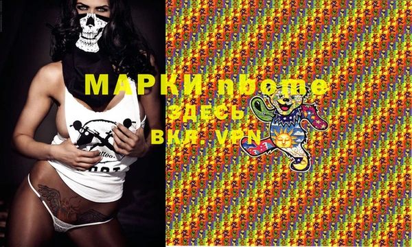 прущие грибы Аркадак
