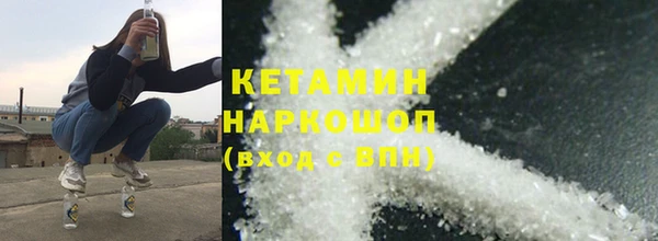 прущие грибы Аркадак