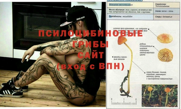 гидропоника Пестово