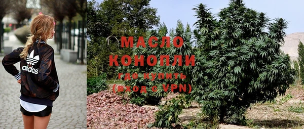 прущие грибы Аркадак