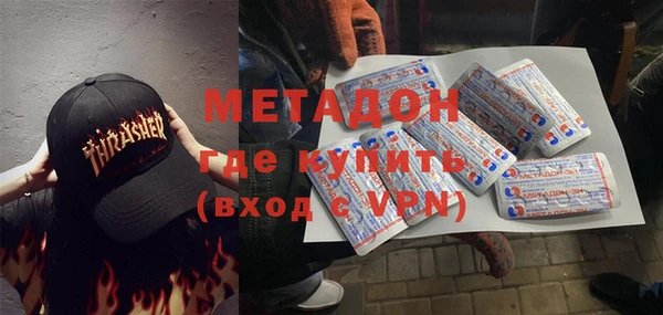 прущие грибы Аркадак