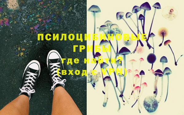 прущие грибы Аркадак
