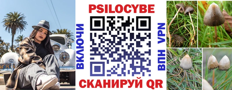 Псилоцибиновые грибы GOLDEN TEACHER  Среднеуральск 
